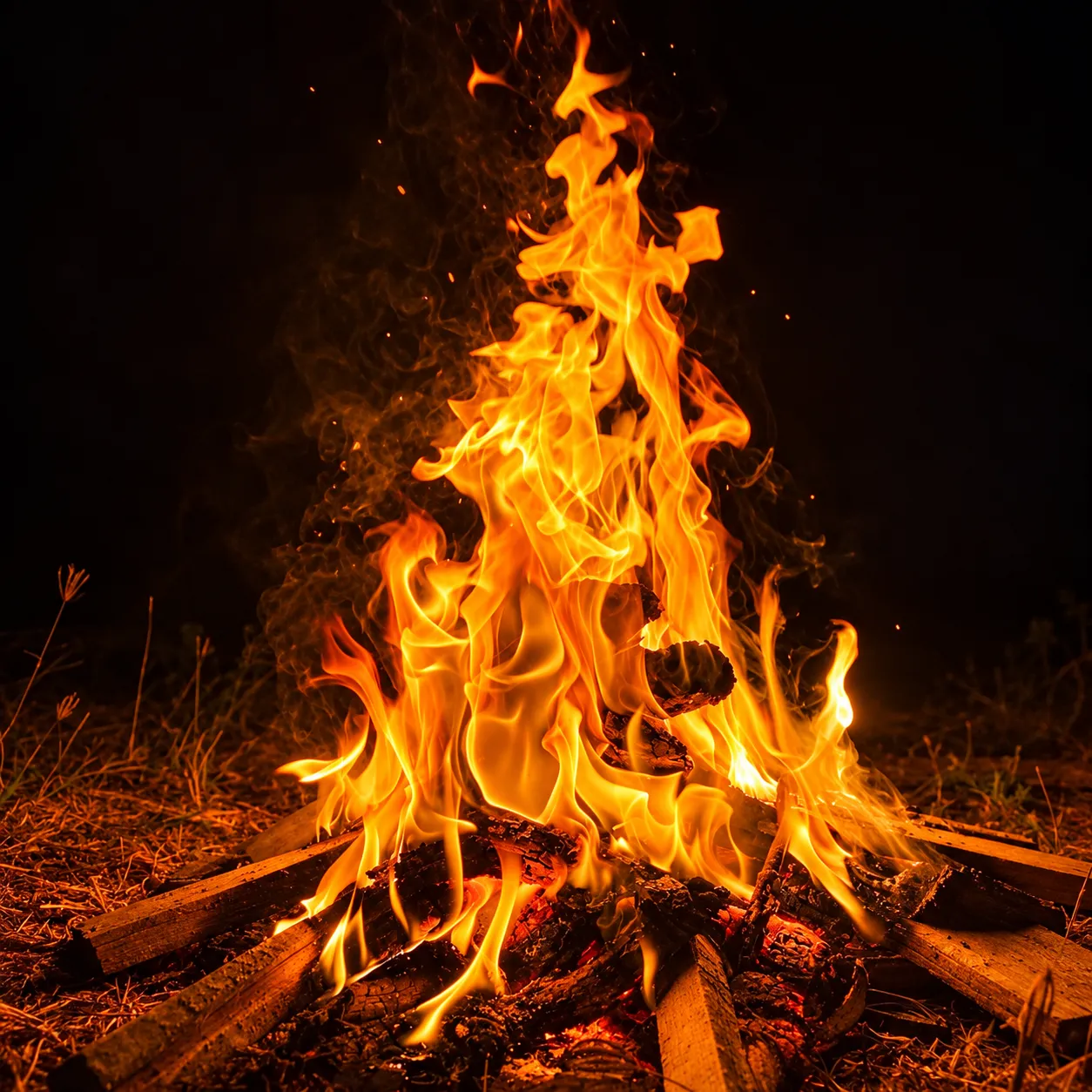 Riverside campfire at Konkan Kuteera under a starlit sky